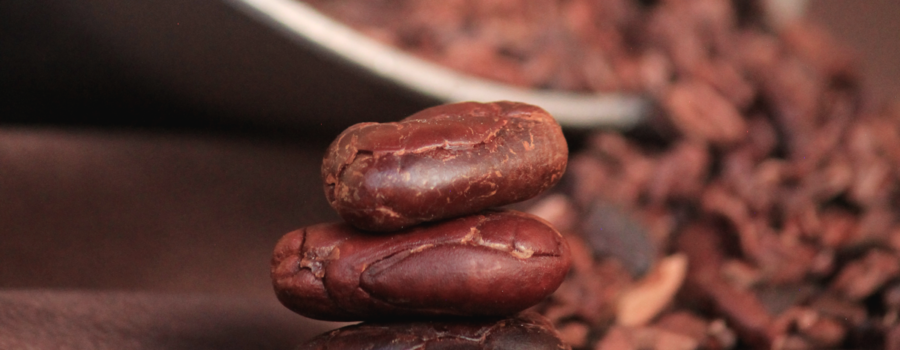 Cocoa Nibs Benefits