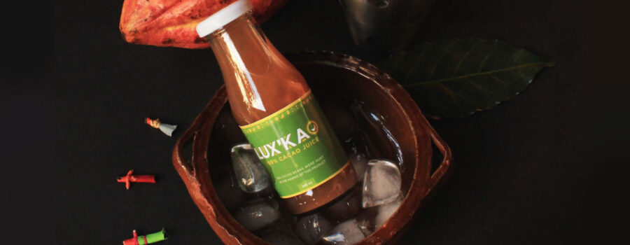 Recetario de Cocteles con Jugo de Cacao